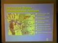 California Colloquium on Water: Wright