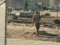 sheep butchering in iraq sheep butchering in iraq
