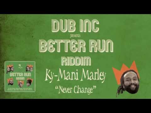 Megamix BETTER RUN RIDDIM (produced by Dub inc)