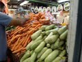 Rehovot Markey joy and shopping fun, prices revealed