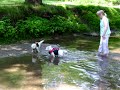 Coda swims to Kimmie