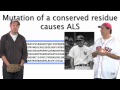 James Fraser (UCSF) & Michael Eisen (Berkeley/HHMI): Baseball Meets Biology