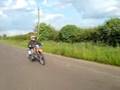videos de weelie F**ked up