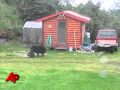 Raw Video: Bear Cub Caught in Net