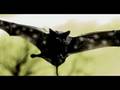 videos de The Great Northwestern Spotted Ferret Bat