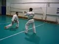 Ashihara Karate Romania Dojo 111:Kata