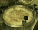 Chicken Stock