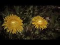the word teva means nature. 
nature is about to speak (1:09).
