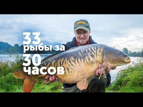 гиг. карп рыбалка гиг. карп рыбалка