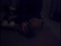 Amish paradise bild a bear band Amish paradise bild a bear band