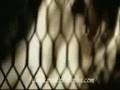 videos de Venus-HIM