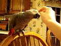 Neckrub? Neckrub?