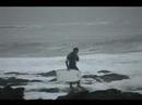 arica-2007-aruba.html