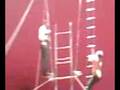 Circus Cirque سيرك 5