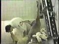 matadero de alicante 1993