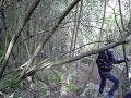 andrea,delugas,Monti