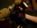 videos de moose galla