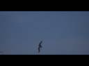 April Come She Will music video