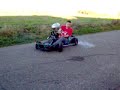 dziki