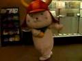 ひこにゃん動画12
