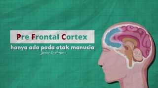 Bahaya Pornografi: Merusak Otak