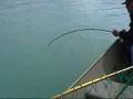 King Salmon Fishing Skilak Lake Alaska