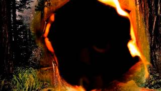 Incendios forestales