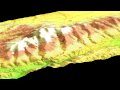 Computer simulation of glacial erosion