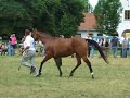 Fryzja po Elsing oo
