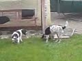 baxter and mitzie
