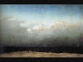 franz schubert (1797-1828)

string quartet no. 13 in a minor 