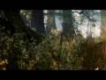 Guarda video