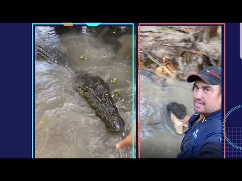 Animal Handler Matt Wright's Encounter With Saltwater Crocodile *SHOCKING*
