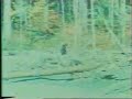 The Patterson Film Bigfoot
