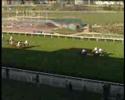 Championnat des Grandes Ecoles - Equitation de courses
