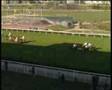 Championnat des Grandes Ecoles - Equitation de courses