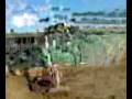 videos de 8 yrs 14 hh Dark Bay Irish X Tamworth