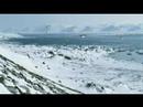 penguins.html