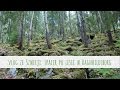 Vlog ze Szwecji: spacer po lesie w okolicach Ragnhilsborgvagen