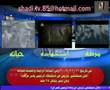 مونتاج شادي زماعره مراحل حياة ياسر عرفات ابوعمار