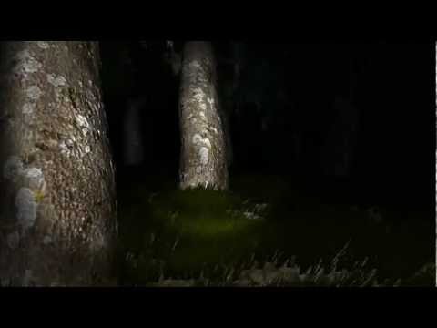 SLENDER!』手電筒遊戲! - OpChannel的粉絲頁http://www.facebook.com/opchanneltw 某日晚上,突然與壞東西、滑鼠、阿津,一起玩了這款奇怪的遊戲! 於是...身邊的人一個一個消失....到底.......