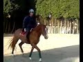 Andre et Racord �curie Fape