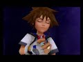Kingdom Hearts Hurt