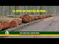 Click to View : Zoom sur le BTS en GESTION FORESTIÈRE