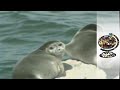 Lake Baikal - Russia - YouTube