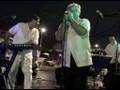 CubanoSon @ The Union City Summer Festival - August 5, 2008
