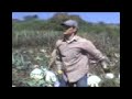 El Charro Frances Mexicano 2