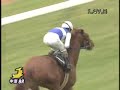 061216中京8R中京2歳ステークス(OP) ダイワスカーレット