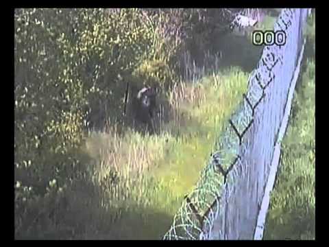 рыбалка псоу видео рыбалка псоу видео