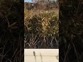 化女沼レジャーランド 外観